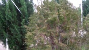 Крым Саки.Улица Революции.