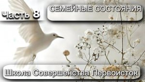 БАЗОВЫЙ КУРС. СЕМЕЙНЫЕ ПРОСТРАНСТВА и ЭНЕРГИИ. Часть 7