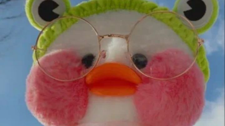 Новинки Эви