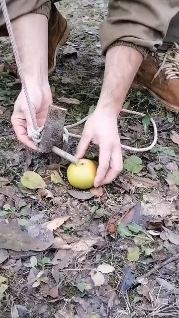 ЛОВУШКА В ДИКОМ ЛЕСУ