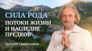 Что такое Сила Рода | Для чего она нам нужна и из чего она состоит | Валерий Синельников