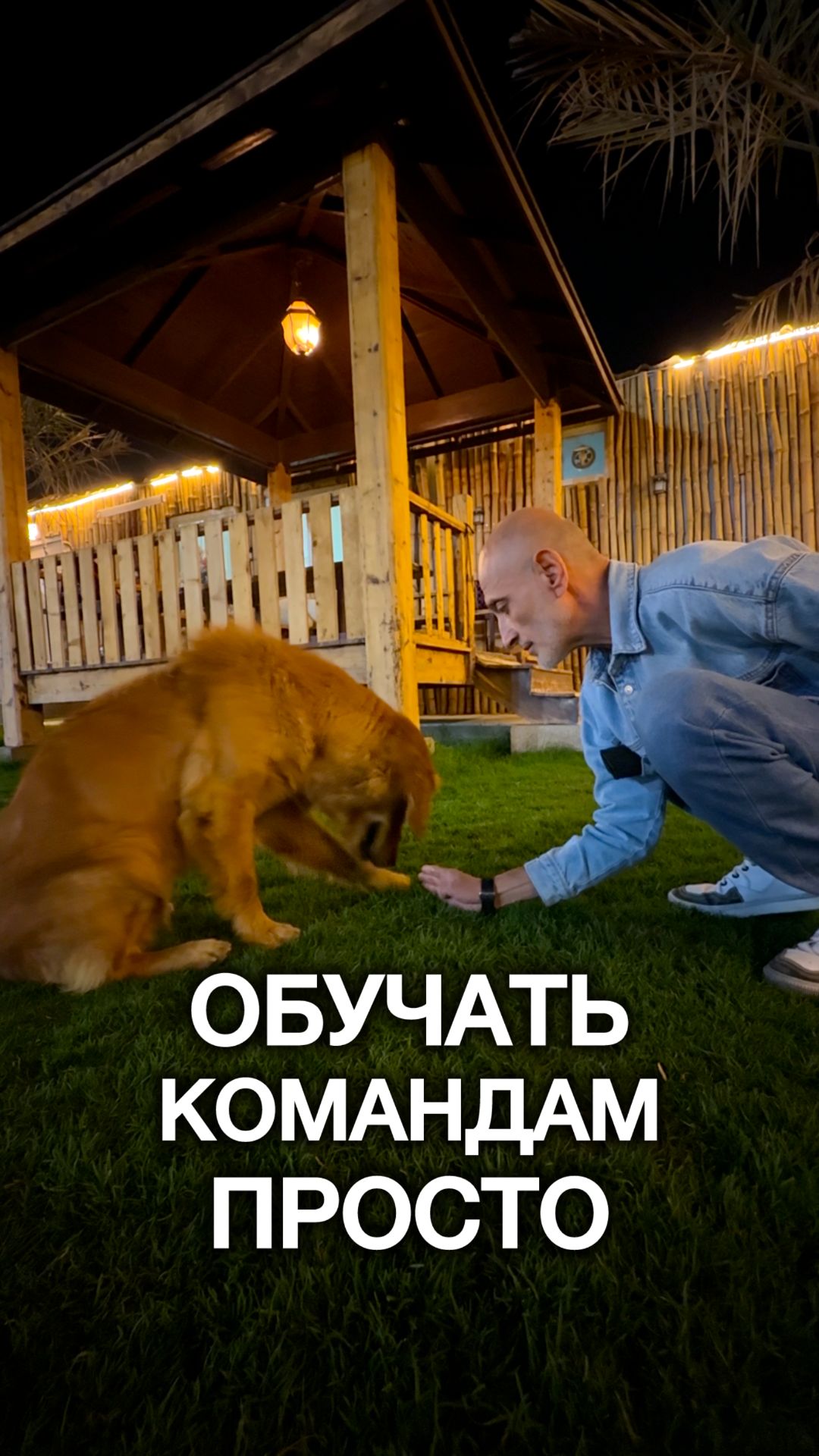 Обучать командам просто