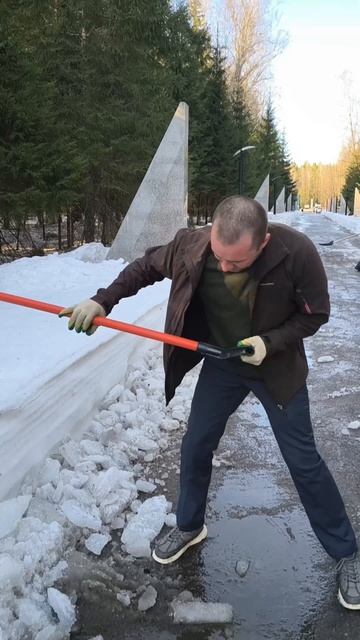 Коля в деле ✅