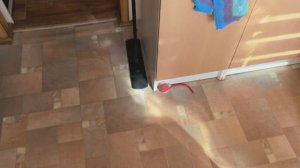 Лучше живые синички, чем китайская мышка