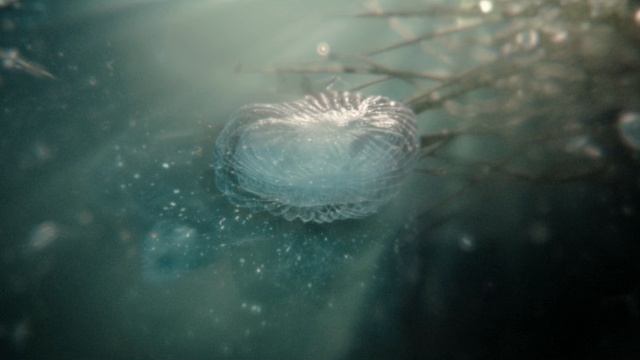 Сотворение мира