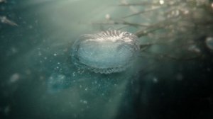 Сотворение мира