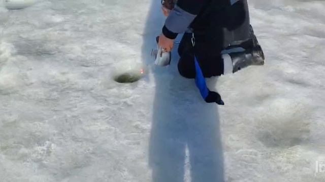 Основной водоём.Поимки Форели