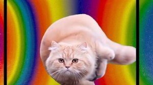 та сама я в своих снах🫠