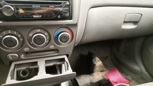 Прямо как в бане зимой