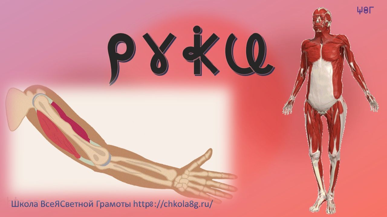 Руки. Этимология. ВсеЯСветная Грамота