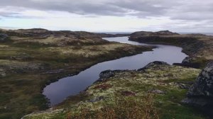 За обочинами дорог