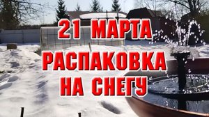 21 марта. Распаковка товаров на снегу