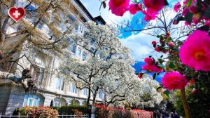 Switzerland, Lake Geneva - Spring Promenade in Full Bloom
