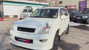 TLC PRADO 120