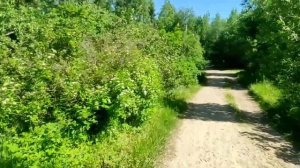 43-Дача.Муся как у себя дома.. собираюсь в гости к Светлане.16.06.22.