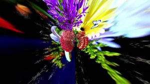 С Днём Рождения! Букеты роз 2 от Киностудии Мудрого Кота Тимофея!