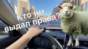 Выехал днем - НЕВОЗМОЖНО ЕЗДИТЬ. Одни Васьки за рулем