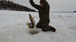Зимняя рыбалка на Севере. Быт в избе. Хорошо ловится щука.