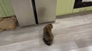 Жизнь вне  орхидей-  кто НЕ ВЫЖИВЕТ то будет повод ОБНОВИТЬ или отправить в ссылку в дом на Юге