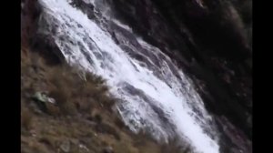 Анизотропный мир. Всё сущее - есть числа