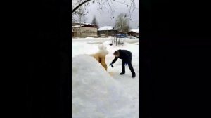 Снежная скульптура "Лось"