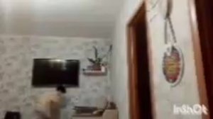 Skibidi Fight Season 06 (all episodes + secret scene)