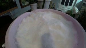 Живая вода для рассады