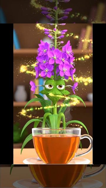 ПОЛЕЗНЫЕ ТРАВЫ