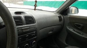 Грызуны дома сидят