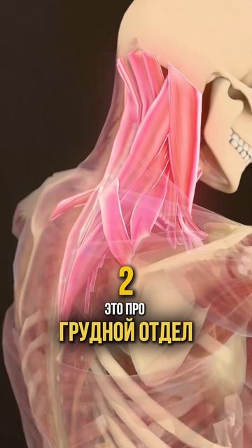 Какая настоящая причина болей в позвоночнике?