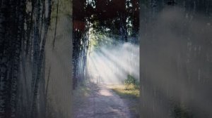 А. Н. Гушан;Восхождение А.Пересвета, Звонарь,Ягода-малина,или вкус счастья,- сл. А. Гушана, муз и во