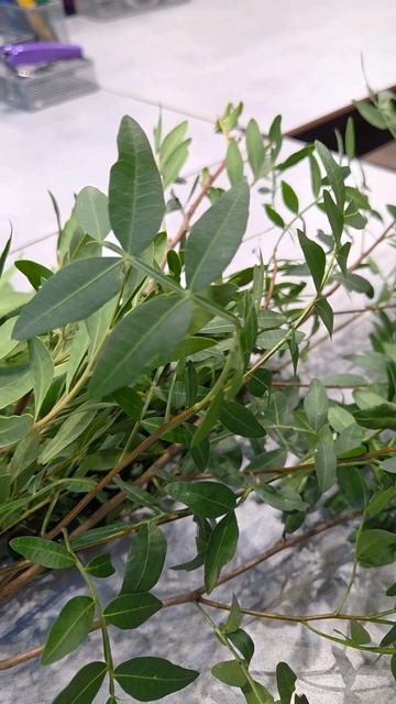 Современный букет на мастер-классе