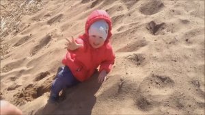 Финский залив