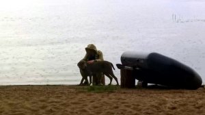 За белыми ночами