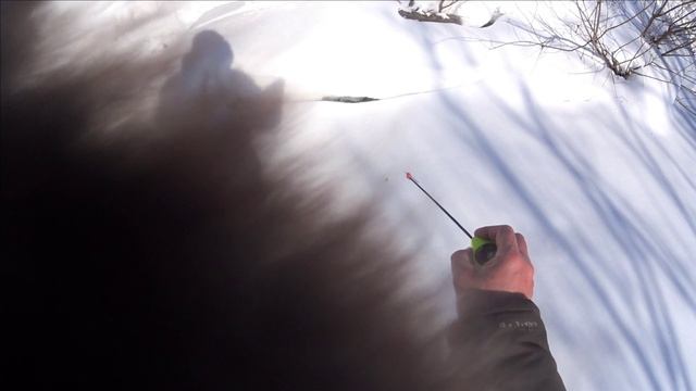 ЗА ЕЛЬЦОМ / ТАЁЖНАЯ РЕЧКА В ТОМСКОЙ ОБЛ