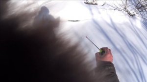 ЗА ЕЛЬЦОМ / ТАЁЖНАЯ РЕЧКА В ТОМСКОЙ ОБЛ