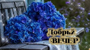 Добрый вечер пусть вечер будет добрым всем хорошего вечера 🌆✨