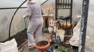 21-03-2026   Посеяла в теплицу салат и редис .