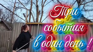 Ейск ! Ветки всёж таки решили спилить, проводила дочурку, три события в один день и многое другое !