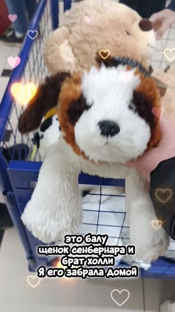 новичок в нашей стаи