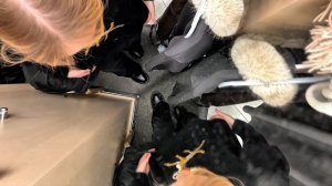 тренды вред или польза