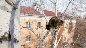 Пугливая, но доверчивая