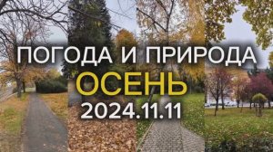 ПОГОДА И ПРИРОДА КУБАНИ. КРАСНОДАР. ЗОЛОТАЯ ОСЕНЬ. НОЯБРЬ. 2024.11.11
