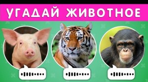 УГАДАЙ ЖИВОТНОЕ ПО ЗВУКУ 🐷🐱🐺