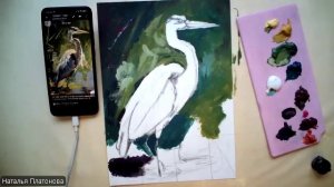 Красивая Цапля