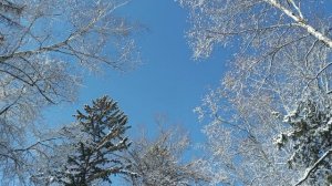 зимняя феерия