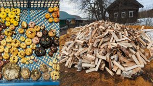 Перебрала гладиолусы ,колем дрова .