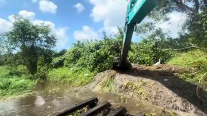 Clearing River Weeds with the Amphibious Excavator ｜ Heavy Machine at Work 💪💪💪🤝