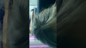 Я ИГРА ГОНЕИ