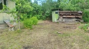 53-Дача..а грушу то едят..26.06.22.